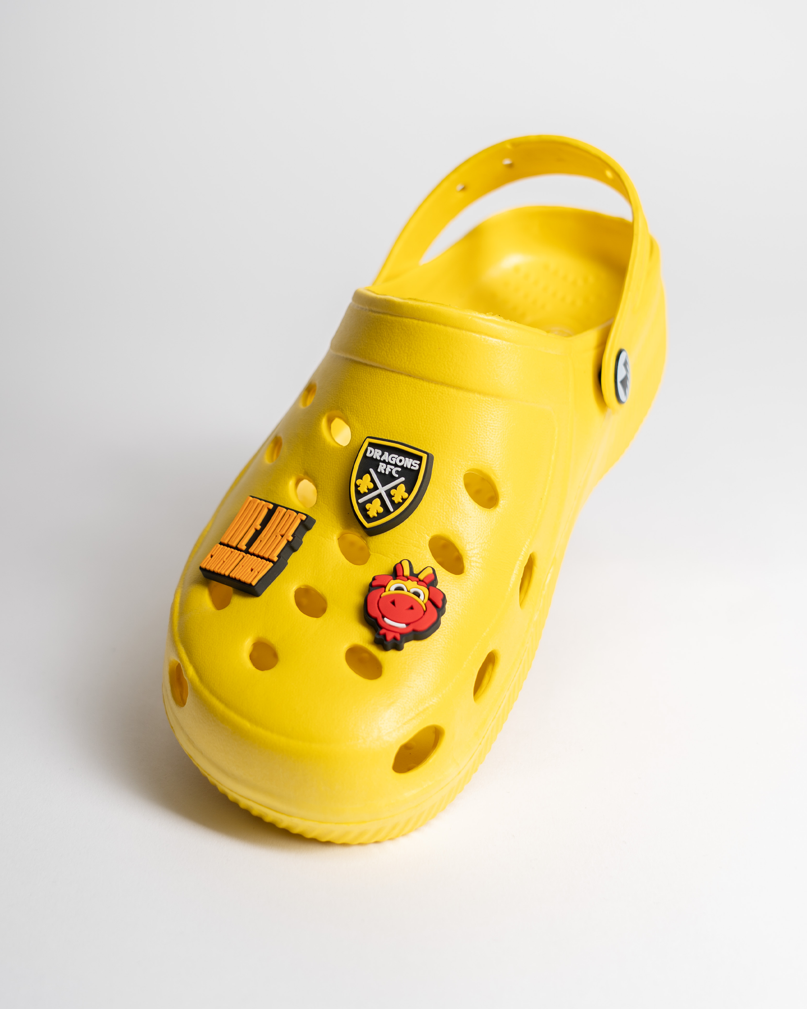 Dragons RFC Shoe Charms