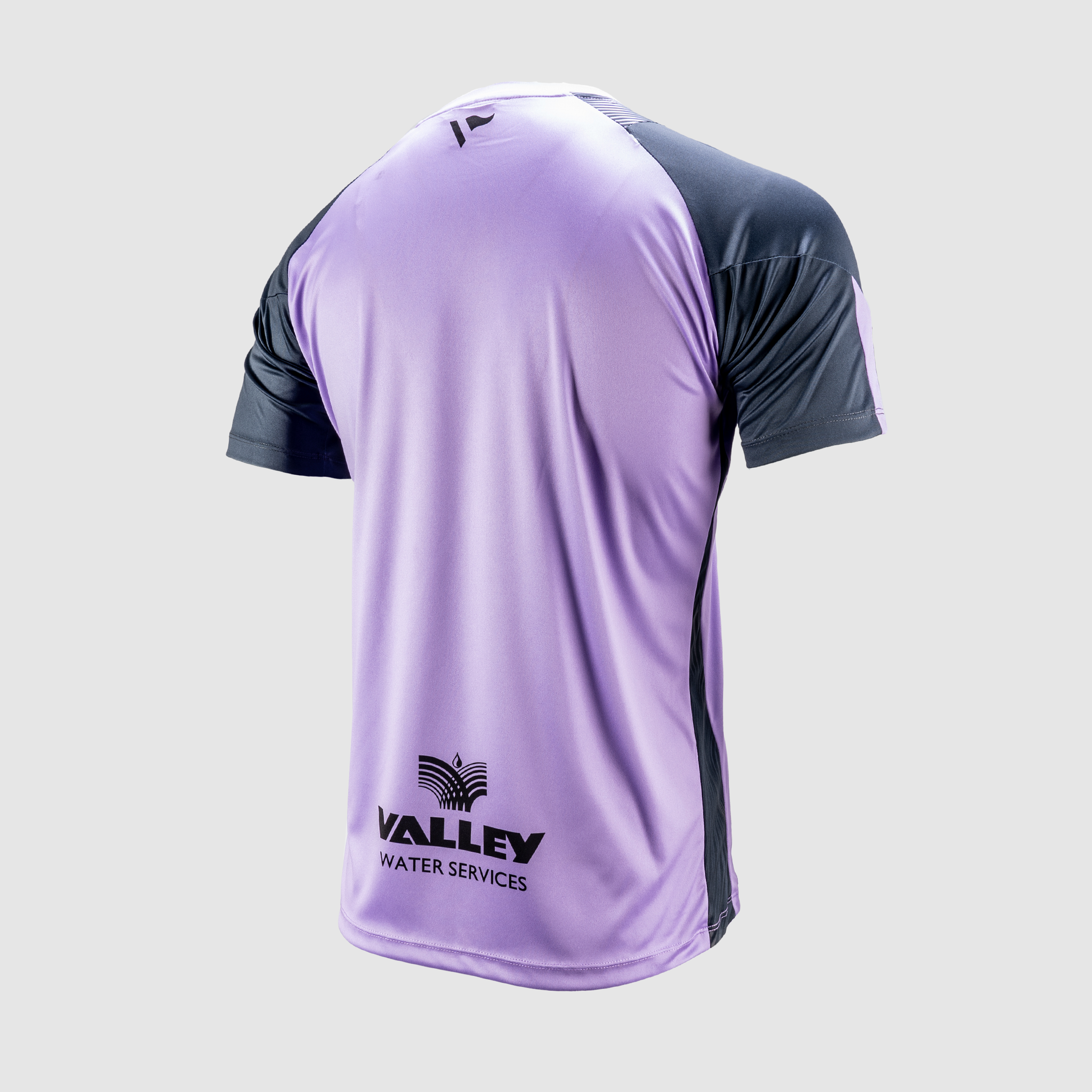 Dragons RFC 24/25 Quadrigo Training Tee- Lavender/Gun Metal Grey